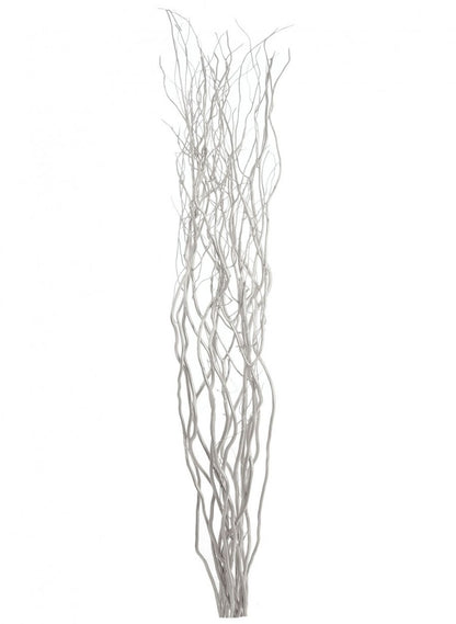 a bunch of silver willow twigs on a white background