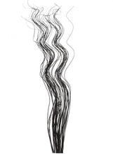 Load image into Gallery viewer, Tall Spiral Willow Twigs Bunch For Floor Standing Vases And Displays 120cm 40 Twigs
